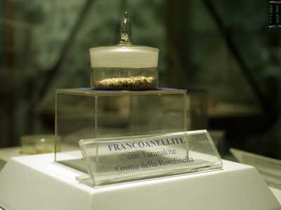 Tra questi la �francoanellite� che prende il nome dal suo scopritore Franco Anelli, speleologo e professore di geografia dell�Universit� degli Studi di Bari. Si tratta di un fosfato molto raro, formato da microscopici cristalli di colore giallo chiaro che fu rinvenuto nelle Grotte di Castellana